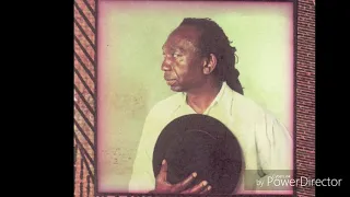 Thomas Mapfumo- Akanyengwa