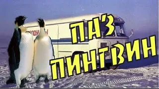 ПАЗ "Пингвин" за что его так называли. История создания ПАЗ-3742