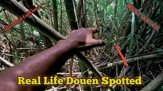 Trinidad Folklore is not a Myth/ Real Life Douen Encountered in Matura Forest  - Ep 295