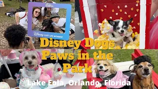 Disney Dogs at Paws in the Park, Lake Eola, Orlando, Florida