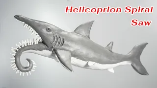 Making Helicoprion-Spiral Saw with Clay | Helicoprion Shark Clay Sculpture Art with Plasticine