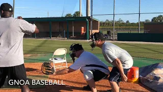 Baseball Plate Umpire-Tracking pitches with your eyes