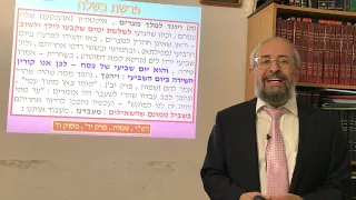 פרשת בשלח - אסטרטגיית ההטעיה שהובילה להטבעת המצרים בים - הרב ינון קלזאן