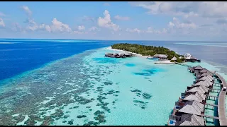Maldives, Lily Beach Resort, 4k