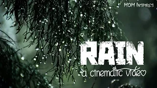 🌧️Rain Cinematic Video Status 2021|Mazha Cinematic Video|Barish Cinematic Video Whatsapp Status|Rain