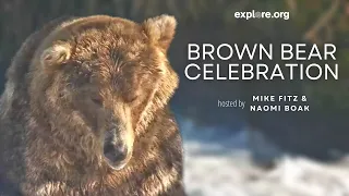 Brown Bear Celebration and Fundraiser | Brooks Live Chat