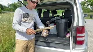 HOW TO KILL A FISH THE RIGHT WAY