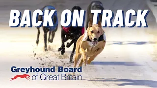 Greyhound Racing is Back on Track | Greyhound Board of Great Britain