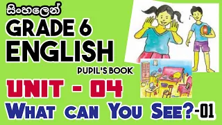 Unit 04| What can You See| Grade 6 English in Sinhala |SL National  Syllabus| Part - 01