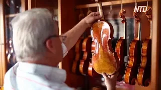 Северомакедонец сам научился делать скрипки и прославился
