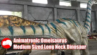 Long Neck Dinosaur Model, Animatronic Omeisaurus