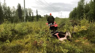 Tredje dagen smäller det älgjakt 2022