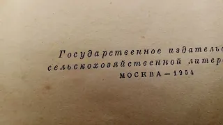 Пасека.Вывод маток,без переноса личинок..Простой  метод,чтобы получить   хороших маток.