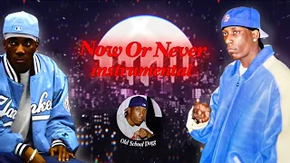 Big L - Now Or Never (Instrumental) [No Loop]