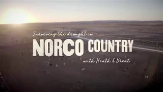Surviving the Drought in Norco Country