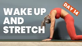 Wake Up & Stretch Morning Yoga - 21 days of free live online yoga classes - (Day 14)