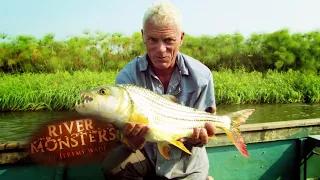 "Never Seen Anything Like This Before" - The Barbel Run | CATFISH | River Monsters