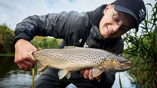 Autumn Fishing For Sea Run Brown Trout, In Tiny Creek - Late Summer Spin Fishing!