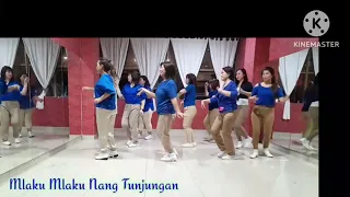 MLAKU MLAKU NANG TUNJUNGAN-LINE DANCE/BEGINNER LEVEL@joyfulv3linedance226