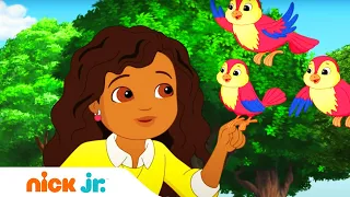 Даша и друзья | Для птиц | Nick Jr. Россия