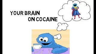 Your Brain on Cocaine