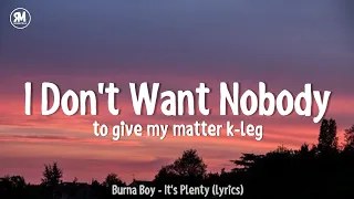 I don't want nobody to give my matter k leg | Burna Boy - It's Plenty (lyrics)