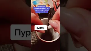 муж завел любовницу сделала кофе на последок😩😂