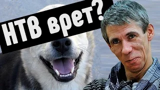 Панин с собакой - НТВ ВРЕТ? [ЖизаТВ]