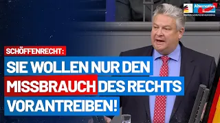 Sogar vor dem Schöffenrecht macht die Ampel keinen Halt! Thomas Seitz - AfD-Fraktion im Bundestag