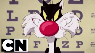 Looney Tunes | Tweety Sees a Cat | Cartoon Network