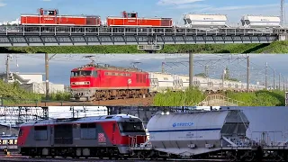 【貨物列車】白ホキを牽く機関車たちEF510、DF200、EF64、KE65(DE10)、ED45