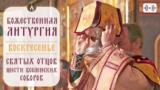 БОЖЕСТВЕННАЯ ЛИТУРГИЯ. Трансляция 13 августа (воскресенье) в 9:00