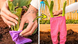 Greenthumbs Galore 💐 Must-Know Hacks for Growing a Garden without Turning Green Yourself!