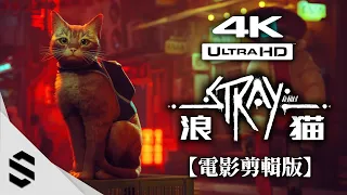 【 STRAY 】All Cutscenes (Game Movie) - 💗Cute Cat's adventure 💗 - HUD OFF - 4K60FPS - By Semenix