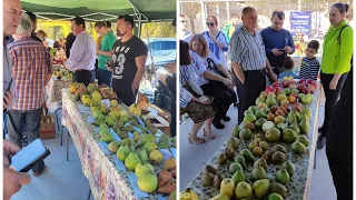 Festivalul perelor din Poienarii de Muscel Jud Arges,degustări și păreri de la diferite persoane🍐🍎