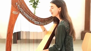 Blessed We Are Live - Peia Cover - Live with the Celtic Harp