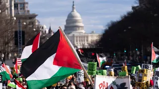 The ‘vast majority’ of pro-Palestine protesters ‘know nothing’ about Israel or Palestine