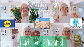 Retour de courses Lidl + Picard 🛒