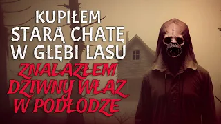 Kupiłem Starą Chatę w Środku Lasu. W Podłodze Jest Tajny Właz. - CreepyPasta [Lektor PL]