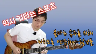 속주를 하고 싶다면 미치도록 연습해야할것들!