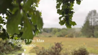 Hand held iPhone 13 Pro Max Cinematic video test