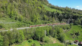 Der Treno Gottardo in Zürich HB und vor Arth-Goldau