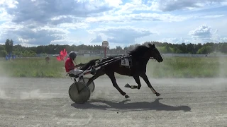 17. 06. 2020 Заезд №12 (49). Приз "Памяти Неизвестного солдата" II ГИТ