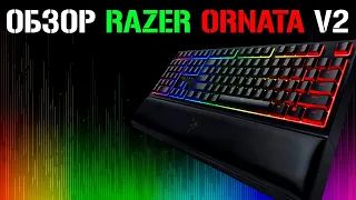 Обзор RAZER ORNATA V2 ❘ Топ?! Или на любителя?