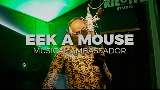 Eek A Mouse & Irie Ites - Musical Ambassador - Murda Dem Riddim (Official Video)