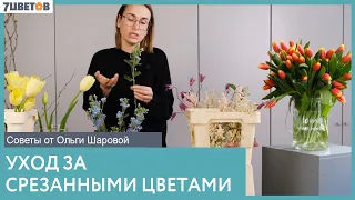 Уход за срезанными цветами | Советы от Ольги Шаровой