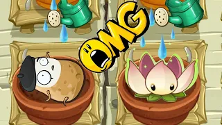 All Animation Instant-Use Plants In Zen Garden - Plants Vs Zombies 2