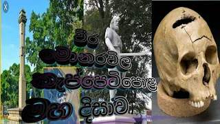 වීර කැප්පෙටිපොළ මහ දිසාව