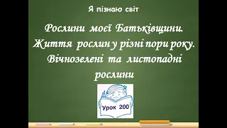 Я пізнаю світ 2 клас Урок 200