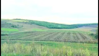 Имеется ли в Молдове достаточное количество леса? Что говорит эколог ?